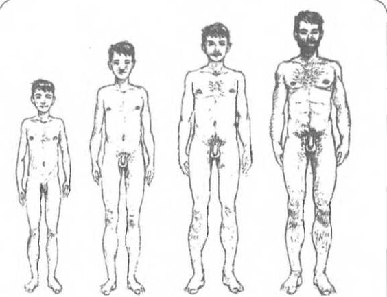 Ukuran sirit gumantung kana umur